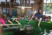 Besuch in der Fischbrutanstalt